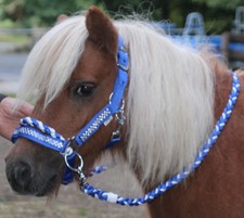 Strass SHETTY Trense