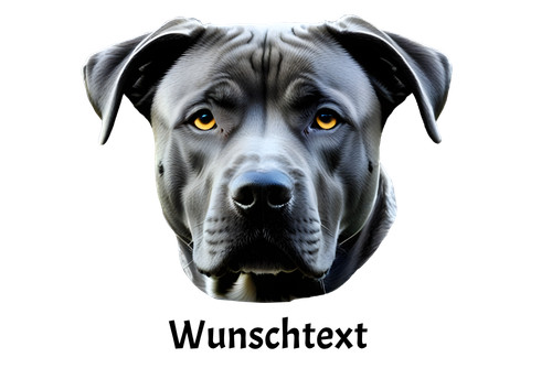 American stafford terrier - american,