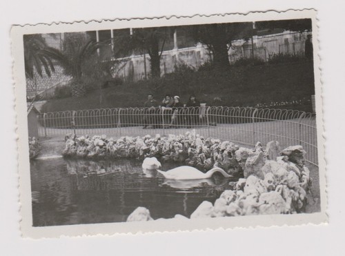 Altes foto garten - altes,