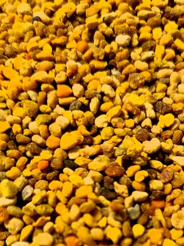 Deutsche blütenpollen aus - blütenpollen,