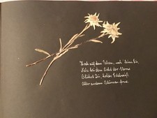 Fotoalbum Urlaubsreise Allgäu