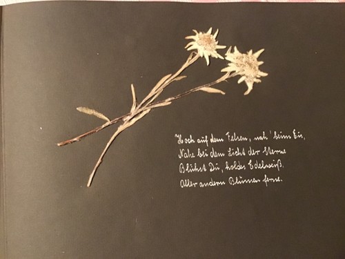 Fotoalbum urlaubsreise allgäu - urlaubsreise,
