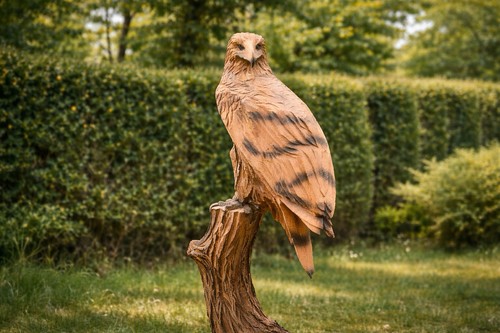 Große holz adler - große, figur