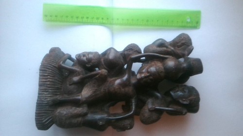 Lebensbaum ebenholz afrika - lebensbaum,