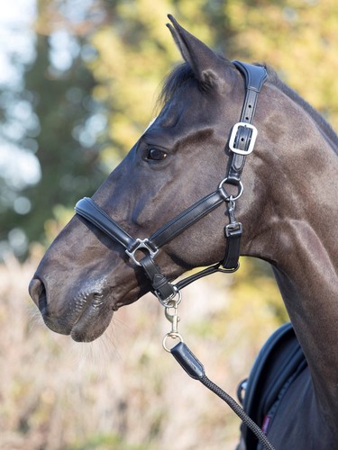 Lemieux leder halfter - %,