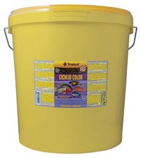 21 Liter Tropical Cichlid