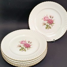 Kaiser moosrose goldrand - moosrose, 6