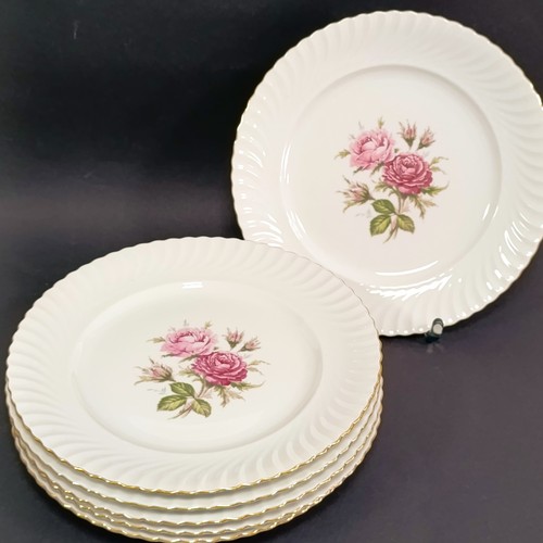 Kaiser moosrose goldrand 6 - kaiser,