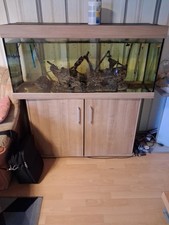 Aquariumset Komplett mit