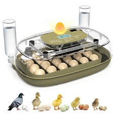 Eier Inkubator Brutkasten