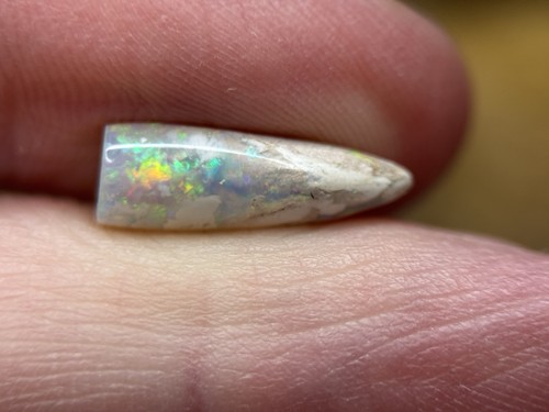 Coober pedy fossiler - pedy,