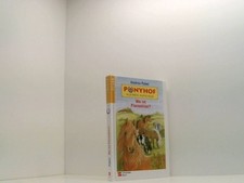 Ponyhof Kleines Hufeisen, Bd.3, Wo ist Florentine? Bd. 3. Wo ist Florentine? Pab