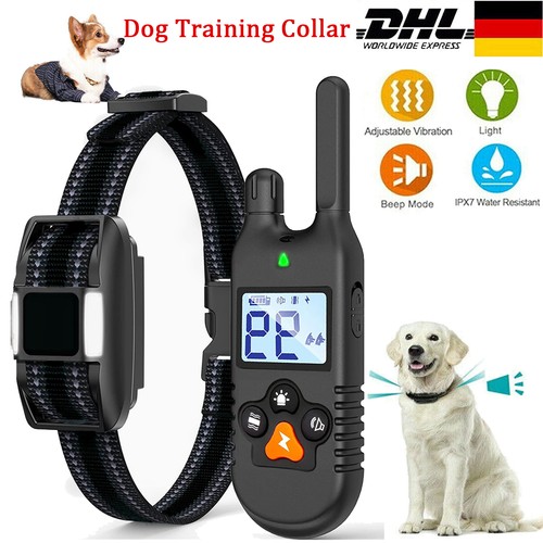 Hundetraining halsband mit - hundetraining,