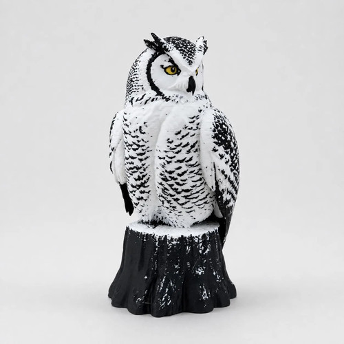 Arctic guardian owl - arctic, –