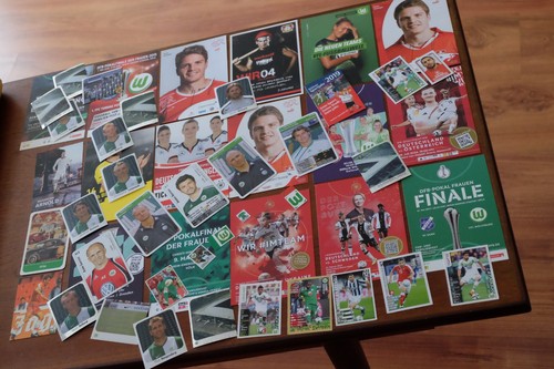 Vfl wolfsburg dfb alex - wolfsburg,