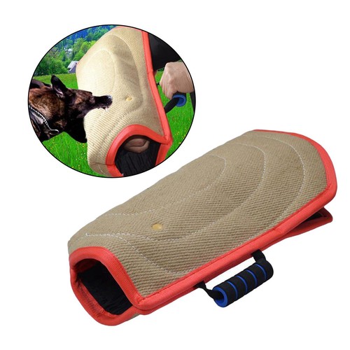 Dog interactive - dog,