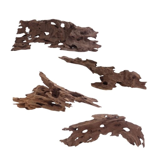 Aquaone honey comb - aquaone, l