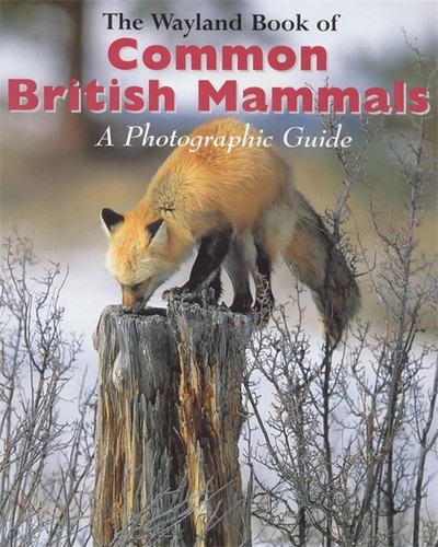 The wayland book common - the,