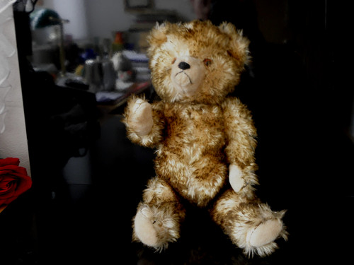 Alter sammler teddy bär - alter,