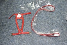 Yorkshire Terrier Hunde