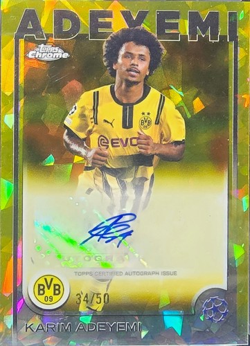 Auto rc 2024 25 - #d, 34/50