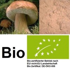 BIO STEINPILZE 100g GEMAHLEN