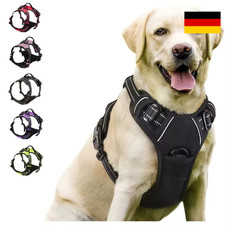 Hundegeschirr