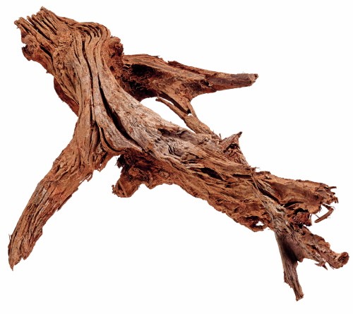 Hobby mangrovenholz 25 35cm - mangrovenholz,