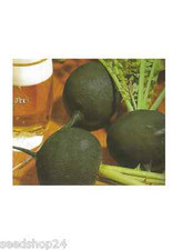 Schwarzer Rettich Runder Samen