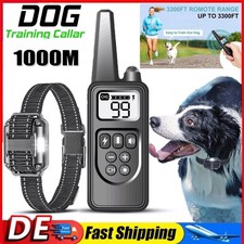 1000M Hund Ausbildung