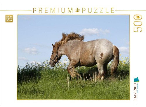 Calvendo puzzle kaltblutpferd - calvendo,