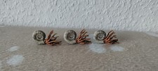Schleich ammonit uhrzeit - uhrzeit, tiere