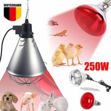 Wärmelampe inkl. 250 W