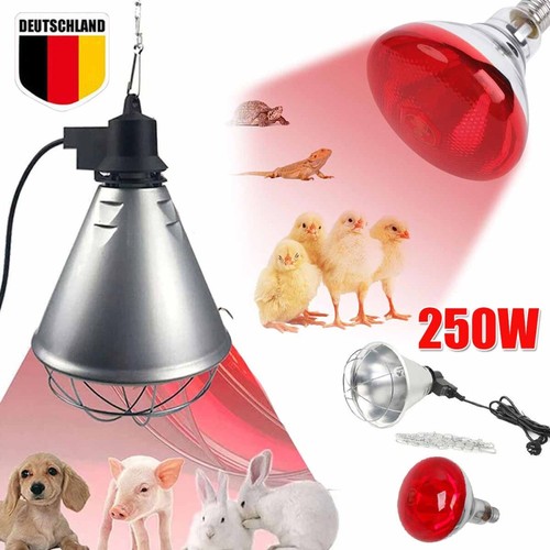 Wärmelampe inkl 250 w - wärmelampe,