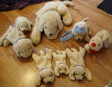 Andrex Welpengilde Hund