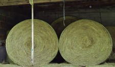 Heuballen aus der Rhön, Junkershausen, Durchmesser 150cm 