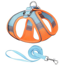 Hundegeschirr-Leine-Set Für