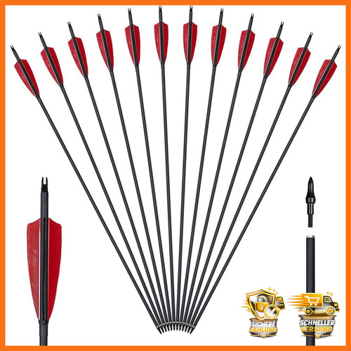 Pfeile zoll 12er - 30, pack