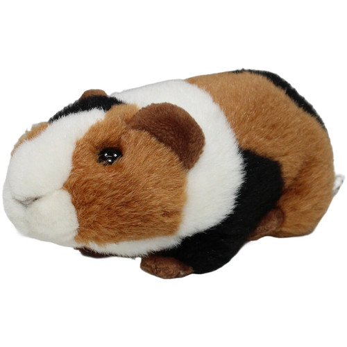 Bob der bär meerschweinchen - bob,