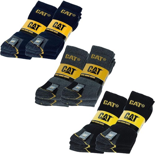 Paar cat caterpillar - cat,
