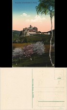 Schreckenstein (Elbe)-Aussig Střekov (Laben) Ústí nad Labem   Burg  1915