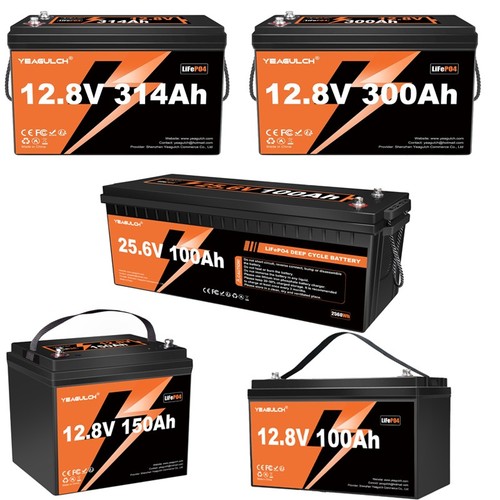 12v 24v 100 - 100/300ah, lifepo4