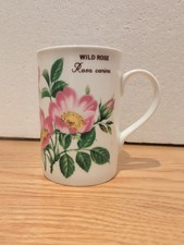 Crown Trent Wild Rose Rosa