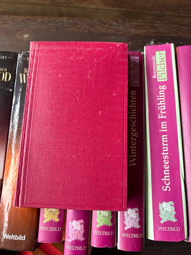 Manesse verlag robert - manesse,
