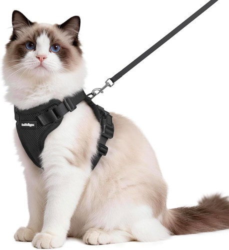 Katzengeschirr ausbruchssicher