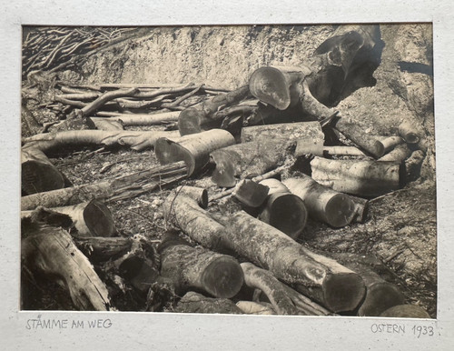 Vintage foto stämme weg - stämme,