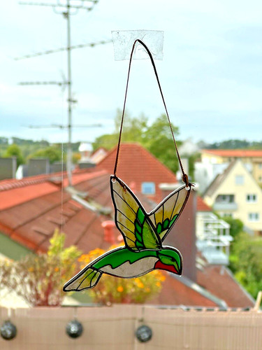 Kolibri vogel aus acryl für - aus,