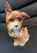 Rauchverzehrer niedlicher Hund