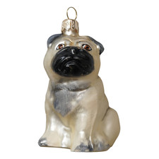 Hund Mops Mopshund Pug