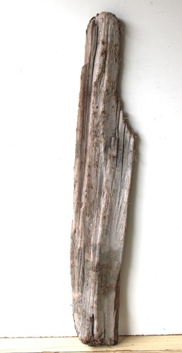 Treibholz schwemmholz - treibholz,